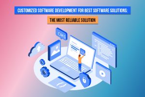 Custom Software Development - SAN Softwares